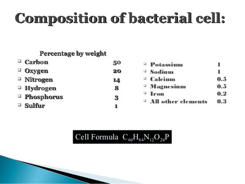 composition_of_bacterial_cell.jpg